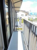  セフィラひまわり