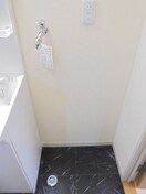  セフィラひまわり