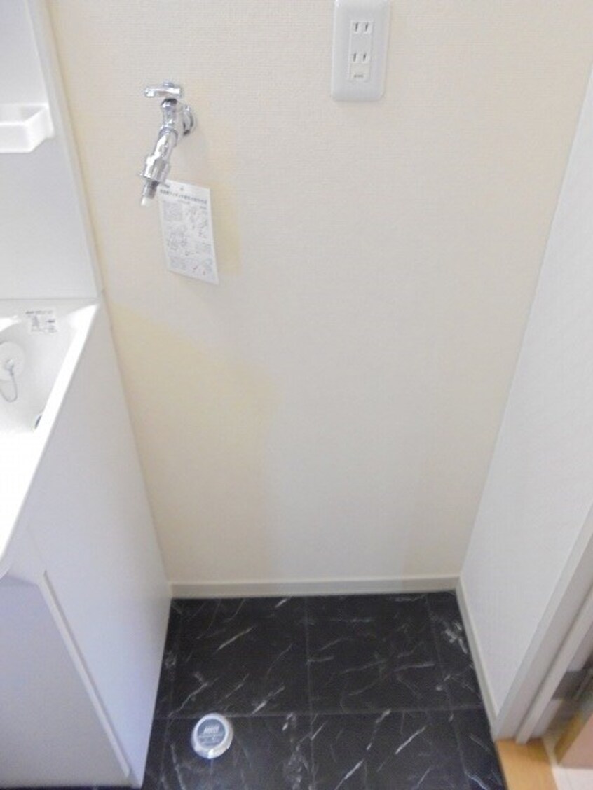  セフィラひまわり