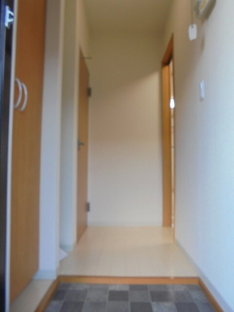  セフィラひまわり