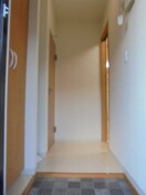  セフィラひまわり