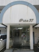  ピュア３７