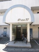  ピュア３７