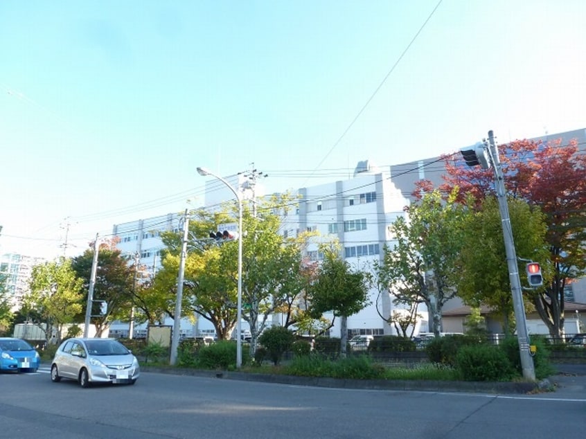 国立信州大学工学部(大学/短大/専門学校)まで749m ピュアシティ若里通り