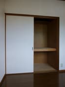  ブルーフェアリー