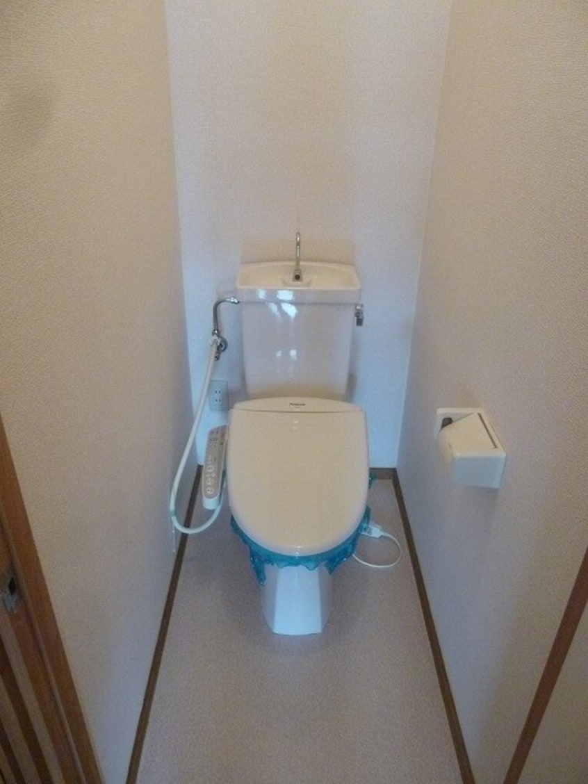  ブルーフェアリー