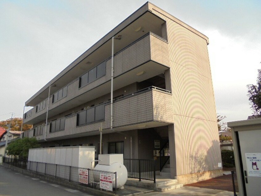  エヴァーグリーン2000