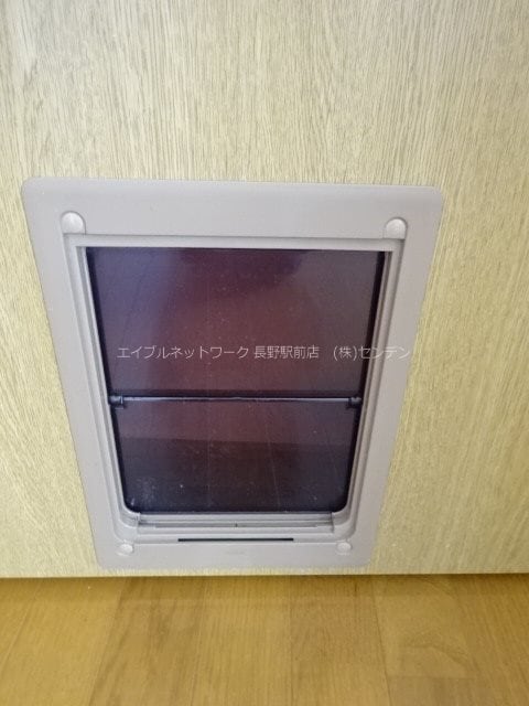 ペット専用出入口写真は301号室です（参考） ブレイン-ｍ
