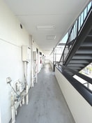  ホワイトタウン