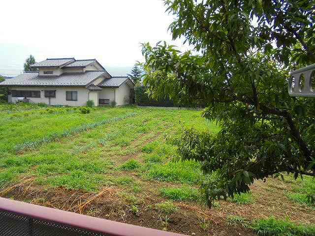 写真は103号室です ディアス大豆島