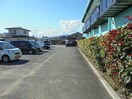  タウニィ幸