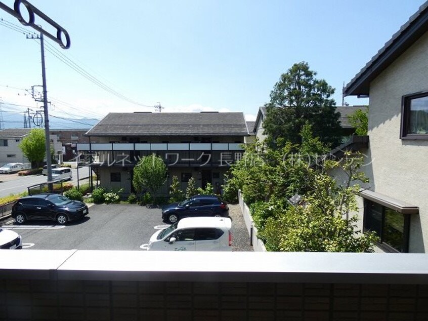  イナダ　バイシュライン