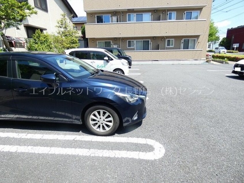  イナダ　バイシュライン