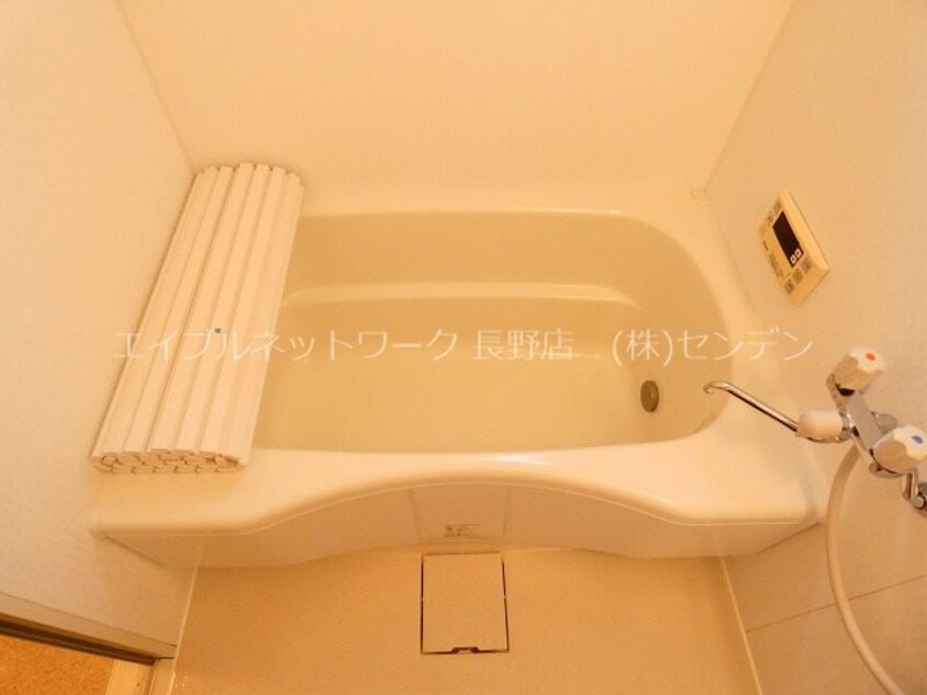  イナダ　バイシュライン