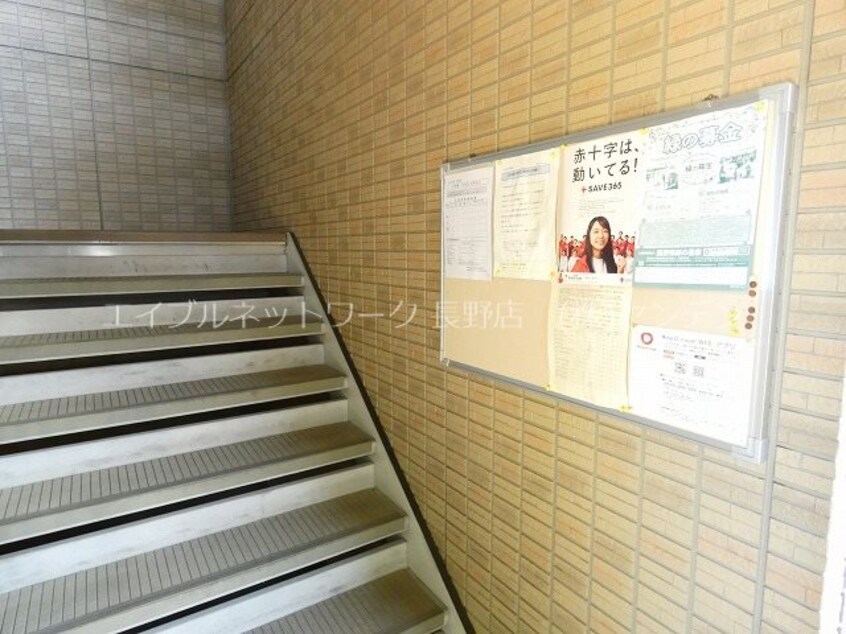  イナダ　バイシュライン