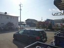 ディンプル島田