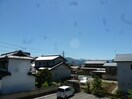  ディンプル島田