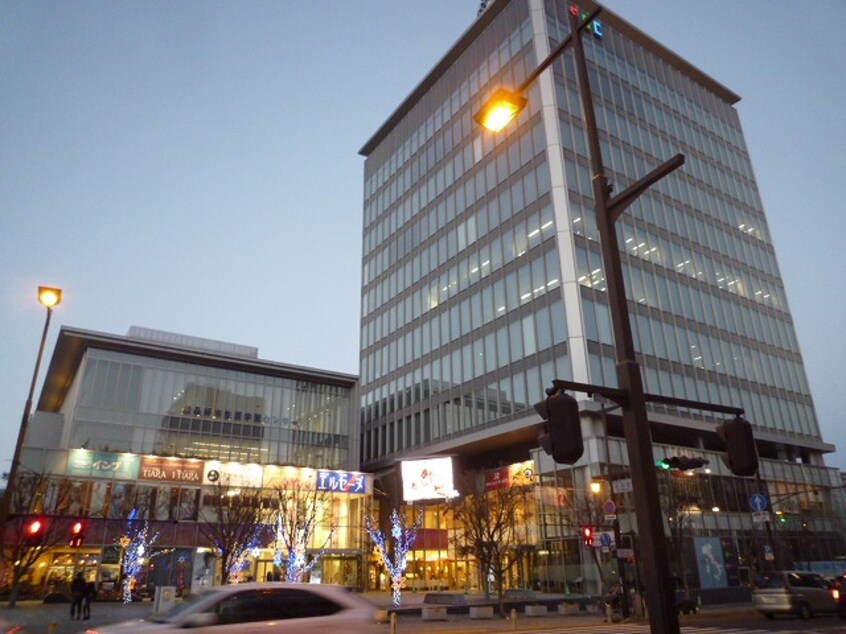 TOiGO（ﾄｲｰｺﾞ）(ショッピングセンター/アウトレットモール)まで2332m セジュール・アルス