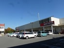 株式会社ﾏﾂﾔ 吉田店(スーパー)まで1170m レピュート