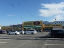 ｱﾒﾘｶﾝﾄﾞﾗｯｸﾞ 大豆島店(ドラッグストア)まで1381m コート花水木