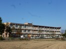 長野市立柳原小学校(小学校)まで488m パストラルハイツＤ棟