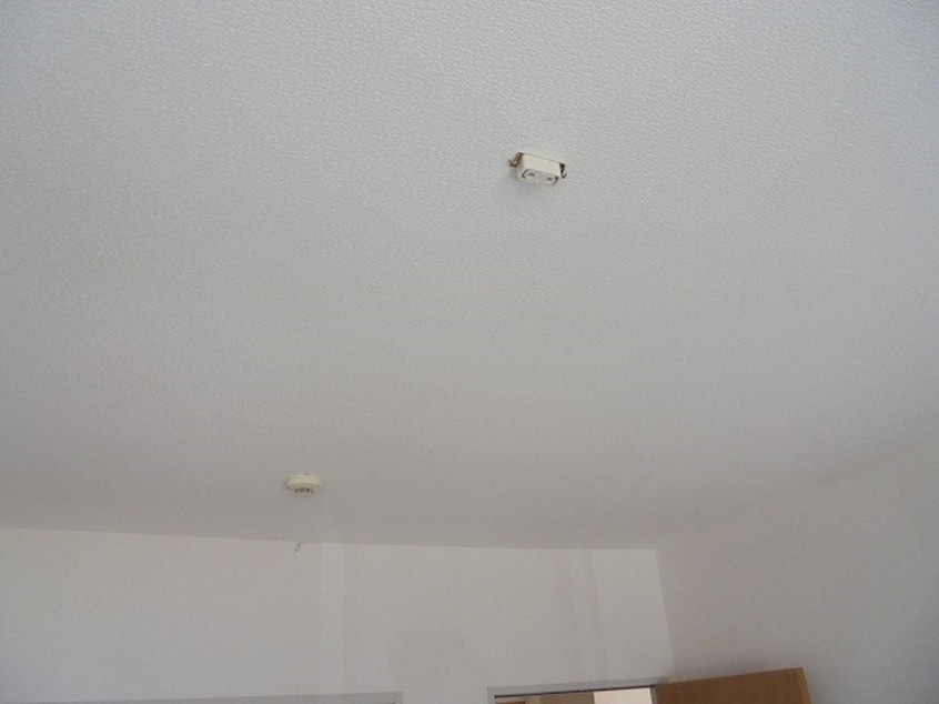  ディアスマロン