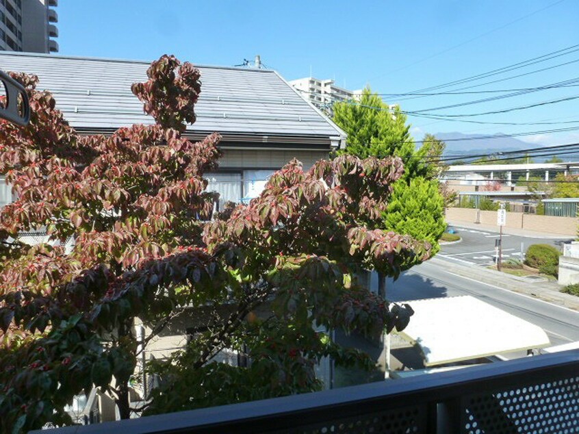 ※別号室の写真です フレグランスしんＤ棟