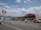 ｸｽﾘのｱｵｷ 稲葉店(ドラッグストア)まで436m 11/16/17/21：日赤線・若槻団地線・西条線/河原口（長野県） 1階 築31年