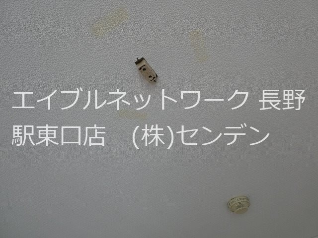  ラプラスみやはら