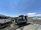  トリシア中越