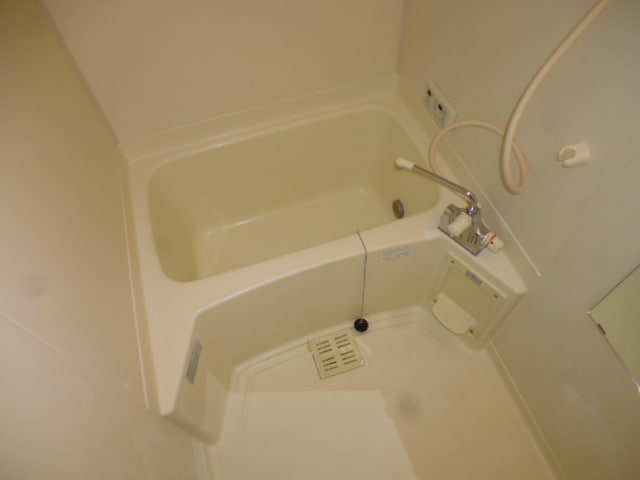  プラムガーデン