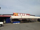 有限会社飯田食鮮市場(スーパー)まで1705m クレストンコート