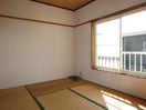  ハイライズ