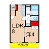 プラシード 1LDKの間取り