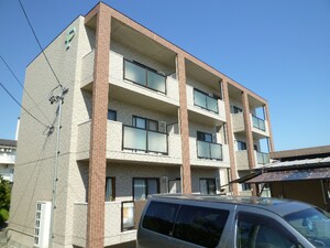 プラシード