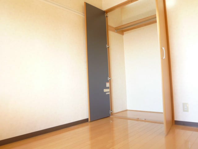  プラシード