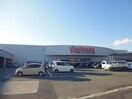 綿半ﾎｰﾑｴｲﾄﾞｱｯﾌﾟﾙﾛｰﾄﾞ店(電気量販店/ホームセンター)まで301m ハイツサンエイト