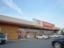 ﾂﾙﾊﾄﾞﾗｯｸﾞ 飯田上郷店(ドラッグストア)まで807m マンション麻績