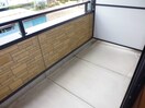  シャンテコスモス