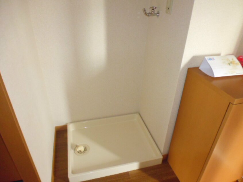  シャンテコスモス