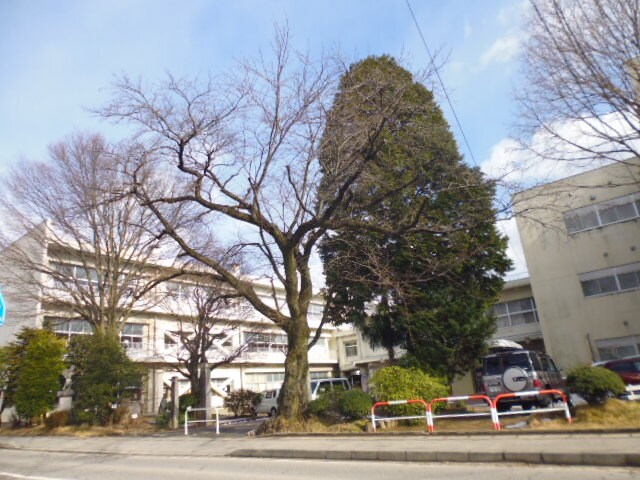 飯田市立上郷小学校(小学校)まで1492m ササキ・ハイツＡ