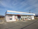 ﾛｰｿﾝ 飯田駄科店(コンビニ)まで688m ハイツ東