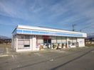 ﾛｰｿﾝ 飯田駄科店(コンビニ)まで1005m アリエッタＢ