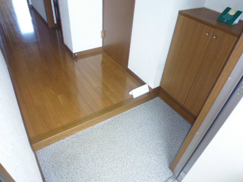  ソフィアケートヨコカワ