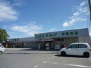 ﾌｧﾐﾘｰﾄﾞﾗｯｸﾞ 伊賀良店(ドラッグストア)まで1070m 桃園荘