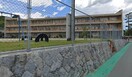 阿智村立阿智第一小学校(小学校)まで1319m Granpalace