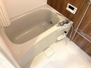  アイオーラT.SII