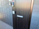  アイオーラT.SII