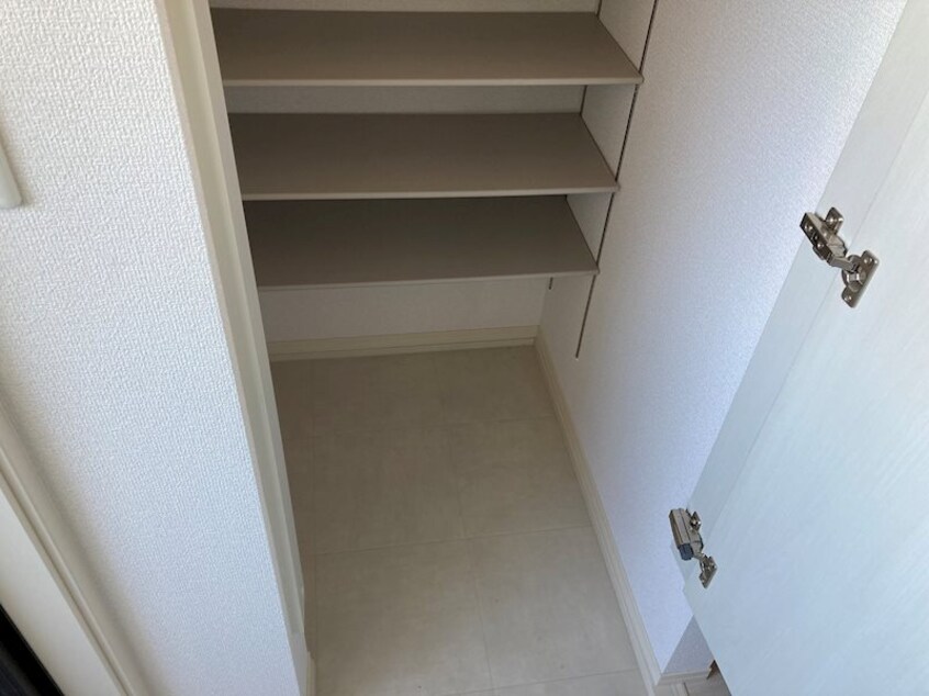  アイオーラT.SII