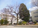 飯田市立上郷小学校(小学校)まで1485m ベルメゾンＺ１